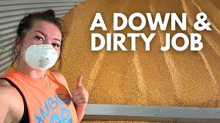 Emptying out grain bins because harvest is approaching! | Day in the life of a 27 year old farmer