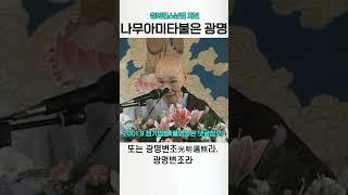 나무아미타불은 생명의 광명 청화스님
