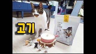 고양이는 고기를 더 좋아해, 오리고기 고양이 간식! Cats like meat more/토토네토스트