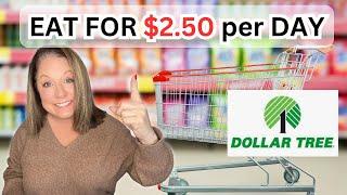 Eating for $2.50 a Day: Cheap Meal Ideas You Need to Try || $10 EXTREME BUDGET at Dollar Tree