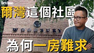 尔湾Irvine Neighborhood 討論度最高的社區-Woodbury|小區優缺點, 房屋特性, 小區配套,生活環境, 學區全方面解析 #尔湾房产 #爾灣 #尔湾