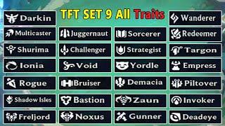 TFT SET 9 Leaks : New Set Traits ( in Detail )