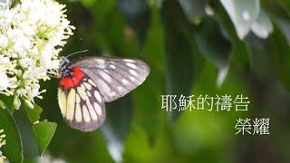靈修:耶穌的禱告-榮耀 20230504