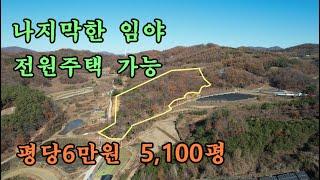 천안 아산 토지매매/나지막한 임야/평당6만원 5,100평