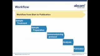 Principles of Immunohistochemistry (IHC)