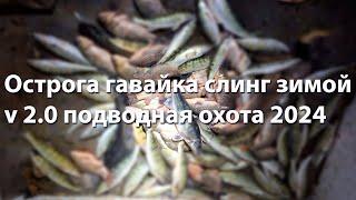 Острога, гавайка, слинг зимой v 2.0 Подводная охота 2024 ночная подводная охота 2024