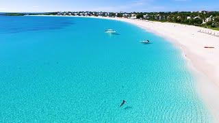 The Most Beautiful Beach in The World: 4K Caribbean Drone Video & Ocean Waves