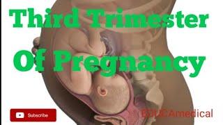 Third Trimester of Pregnancy: What to expect