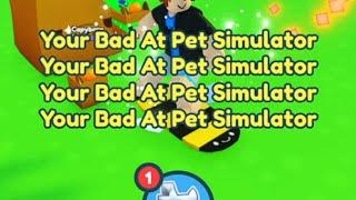 Pet Simulator X HATES ME 