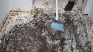 Floor adhesive remover – how to use 747 adhesive remover – how to clean glue from floor