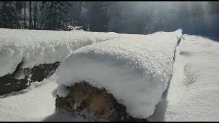 Einsame Gipfeltour im Almtal -- Schwereck (1194m)