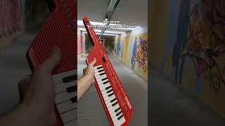 this looks so good I wanna cry #keytar #yamaha #casio #chiptune #synth
