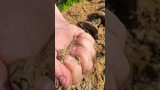 СКВАЖИНА РУКАМИ#абиссинскаяскважина#абиссинскийколодец#свояскважина52#shorts