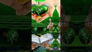 دروس دينية