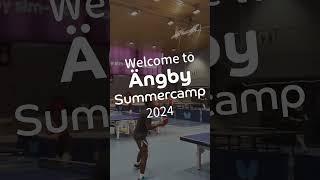 Ängby Summercamp 2024 #summercamp #tabletennis #2024 #best #practice #wow #friends #sports