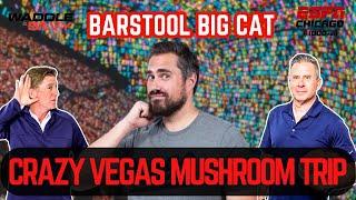 Big Cat's Mushroom Experience at the Las Vegas Sphere!