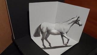 Drawing White Horse - 3D Artistic Graphic - Awesome Trick Art