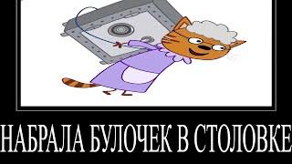 МУД ТРИ КОТА ДЕМОТИВАТОР 55