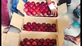 19 October 2024 Kinnaur (Ropa Valley) Apple Rate | Today's Apple Market @ Tapri | Himalayanfarming