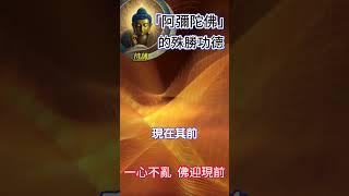 「阿彌陀佛」的殊勝功德 持誦：一心不亂，佛迎現前 #開悟 #覺醒