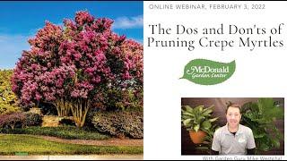 The Dos and Don'ts of Pruning Crepe Myrtles