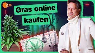 Onlineshop statt Dealer: Das dubiose Cannabusiness | Die Spur