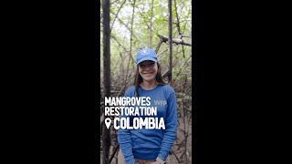  What do you know about mangroves?