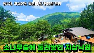 NO.478 소나무군락지에 파묻힌 몸과 마음이 건강해지는 경남 산청전원주택매매, 그야말로 지상낙원입니다