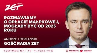 Minister Finansów: Rozmawiamy o opłacie małpkowej, mogłaby być od 2025 roku | Gość Radia ZET