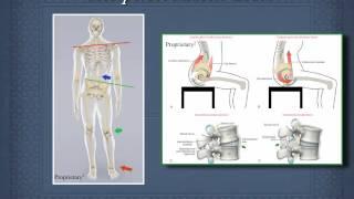 Medical Infrastructure in Treating Musculoskeletal Disease