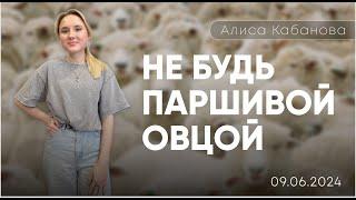 Алиса Кабанова | Не будь паршивой овцой