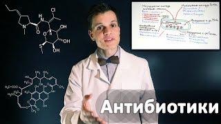 Умный Медик [УМ] - Механизм действия Антибиотиков. Базовое видео по фармакологии.