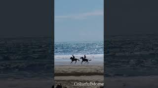Horse Riding ️