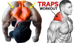 9 BEST EXERCISE TRAPEZIUS WORKOUT 