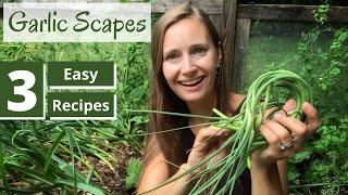 Harvesting Garlic Scapes | Easy Garlic Scape Recipes