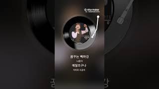 꿈꾸는 백마강 완판 김종철 노래 2025.06.21