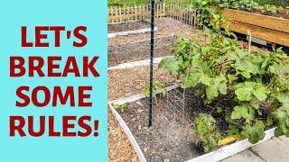 NO MORE RULES for My Zone 9 Garden | Gardening on the Edge