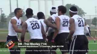 Hendrickson Hawks Football | WWSQT Highlights | 2013