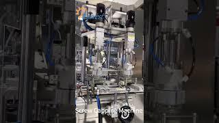 Screw Capping Machine, Double head Capping Machine for Glass Container, Metal Cap Screw Capper(2025)