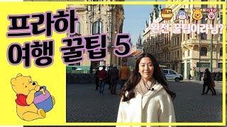 [YIZI 임이지]ENG)체코 프라하 유럽 여행 진짜 꿀팁 5