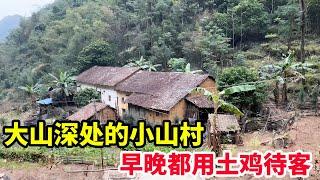 大山深处的小山村里，早晚都用土鸡招待，只为帮忙的赶猪人可以吃好喝好【山农乐哥】