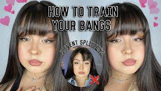 HOW TO TRAIN YOUR BANGS (PREVENT SPLITTING)