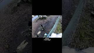 Tom and Greg scale the fence at Norbord