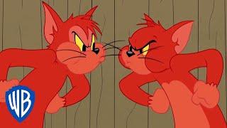 Tom y Jerry en Español  | La competición de Tom y Butch | WB Kids