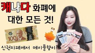 캐나다달러$$ 화폐단위 (지폐, 동전), 동전그림스토리, 5센트단위반올림 다 알려드려요! (유잼유잼) I 니나