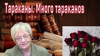 История из жизни. Тараканы. Много тараканов в пустом доме. Муж неожиданно вернулся домой