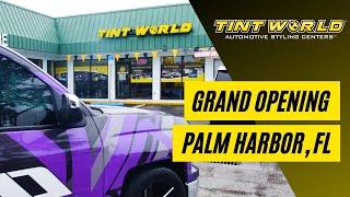 Window Tinting in Palm Harbor, FL