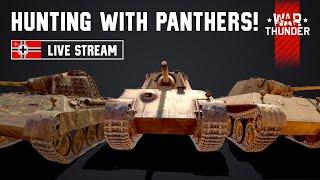 Hunting Prey with the Panther Tanks! War Thunder Live