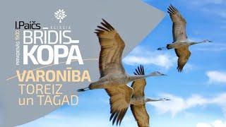 Brīdis kopā (11.11.2024) – VARONĪBA – TOREIZ UN TAGAD