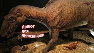 Парк динозавров в Стамбуле Jurassic Land / Космический корабль